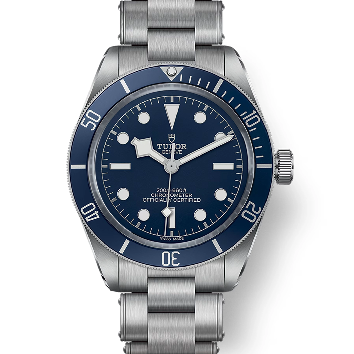 Tudor Black Bay
